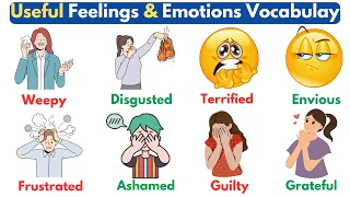 English Vocabulary: Feelings and Emotions Vocabulary with Daily Use Sentences