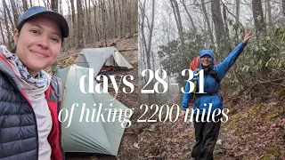 rain rain go away, 300 miles ✅ | days 28-31 of thru hiking the Appalachian Trail