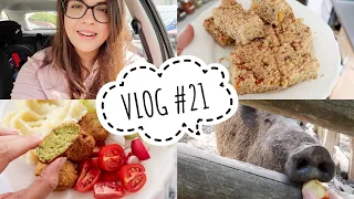 Recept falafelky, nákup jídla | VLOG #21/2020 | MaruškaVEG