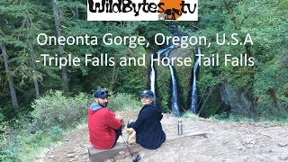 Oneonta Gorge, Oregon, U.S.A-Triple Falls and Horsetail Falls