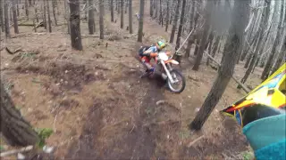 Pine Forest Hillclimb