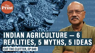 6 tough realities & 5 dangerous myths on India's farm sector & 5 principles for reforming it