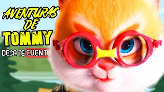 CATS LAS AVENTURAS DE TOMMY 😸 | RESUMEN EN 10 MINUTOS