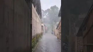 Super heavy rain and strong winds in my village | Sleep instantly with the sound of heavy rain