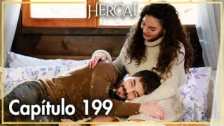 Hercai - Capítulo 199