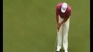 Игра в гольф Смешное видео  The game of golf  Funny Videos