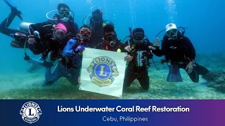 Lions in the Philippines Restore Coral Reefs | Underwater Coral Reef Project