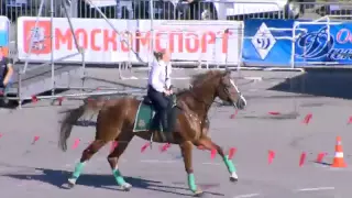 спортивный праздник московской полиции 2015 (КОННАЯ полиция)