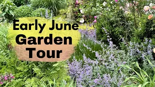 Garden Tour: Roses, Weigela, Cat Mint, Coral Bells, Hostas//Gardening with Dream Achiever Farm