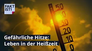 Gefährliche Hitze – Leben in der Heißzeit | Fakt ist! | MDR