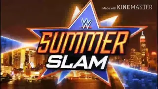 BROCK LESNAR VS. UNDERTAKER SUMMER SLAM  FULL MATCH