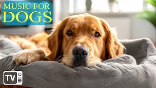 24 Hours Anti Anxiety with Music for Dogs: Dog TV & Fast-Boredom Busting Videos for Dogs with Music