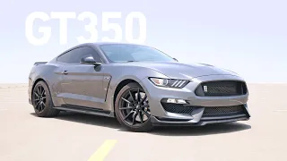 اقوى موستانج تنفس طبيعي يمكنك شراؤها - Mustang Shelby GT350