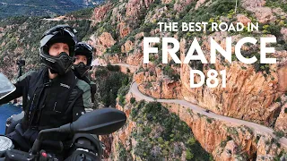 Is This The BEST Road in FRANCE?! D81 Corsica Is UNBELIEVABLE