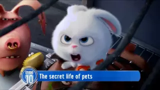 The Secret Life Of Pets Cast