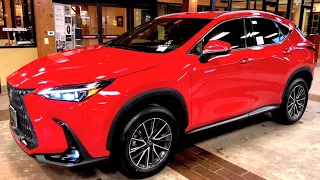 2022 Lexus NX250 Walkaround