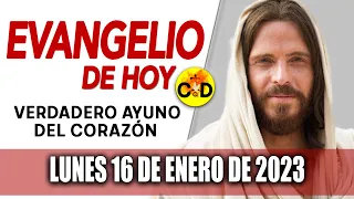 Evangelio de Hoy Lunes 16 de Enero de 2023 LECTURAS del día y REFLEXIÓN | Católico al Día