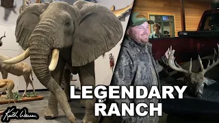 OVER 2,200 MOUNTS - Crazy Cool Wildlife Center at the Legends Ranch!