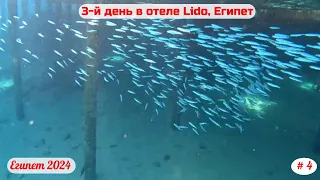 Отдых в Египте, отель Lido | День третий | Март 2024 | Часть 4-я.