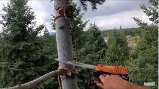 ECHO CS-2511T ON TREE CLIMING AND REMOVAL, P.1