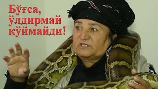 Питон билан бир хонада?! Даҳшат!!!