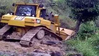 Bulldozer por fin derriba el árbol