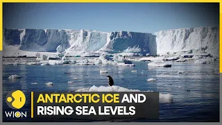 Antarctic sea ice hits record low | WION Climate Tracker