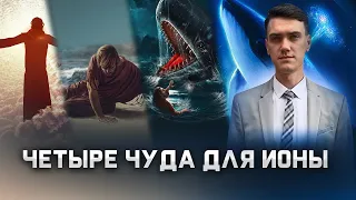 Мог ли кит проглотить Иону?