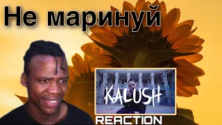 Don’t PICKLE!? | KALUSH - Не маринуй | REACTION!