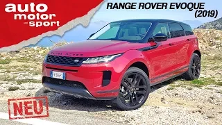 Range Rover Evoque (2019): Der Geländewagen unter den Premium-SUV? – Review | auto motor & sport