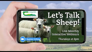 Let's Talk Sheep - Reducing Mortality at Lambing Time