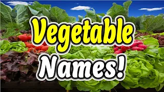 Vegetable Names in English with pictures (22 Popular Vegetables) [ ForB English Lesson ]