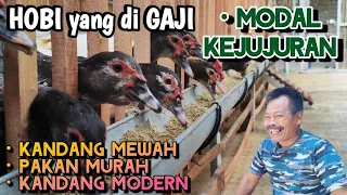 MODAL TENAGA & KEJUJURAN NGURUS ENTOK DAPAT ILMU DAPAT GAJI HOBI TERSALURKAN