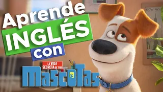 Aprende inglés con La vida secreta de tus mascotas | Express English