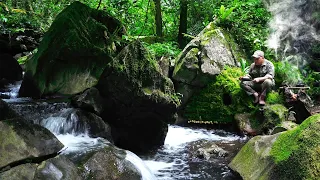 Full video: Alone in the wilderness. Solo Bushcraft. Build a shelter and spend the night alone.