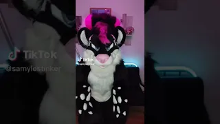 STOP IT RIGHT NOW 😡 #furries #fursuit #tiktok #fyp