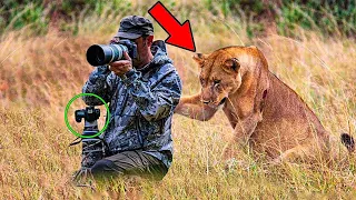 Une lionne demande de l'aide à un photographe. Il a été choqué de découvrir le motif de sa demande..
