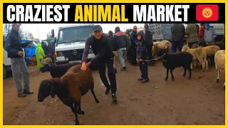 Extreme Culture Shock in a Kyrgyzstan Animal Market (This was WILD!!)