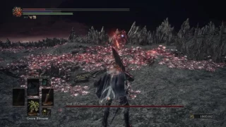 Dark Souls 3 Soul of Cinder BKGS Fight [NG+7,NO DAMAGE]