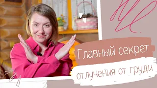 Ответьте на этот вопрос перед тем, как начинать отлучение от груди.