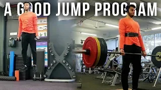 How to Find a Good Vertical Jump Program | Road to My First Dunk Ep.68