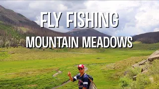 HIGH ALPINE TROUT FISHING | HOW TO FLY FISH | MEADOW STREAMS ARE THE BEST | COLORADO BACKCOUNTRY