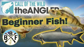 Beginner's Guide: Best Fish, Bait and Locations for new players on Golden Ridge Reserve!!