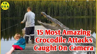 15 Most Amazing Crocodile Attacks Caught On Camera USA