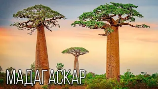 Madagascar: The most mysterious island | Interesting facts about Madagascar