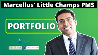 Marcellus' Little Champs Portfolio Stocks 2022 | Saurabh Mukherjea Small Cap Philosophy