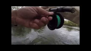 Pesca con Moscas Atractoras en Río Malleo