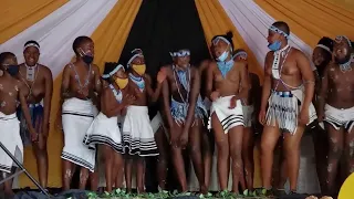 Malawi Reed Dance