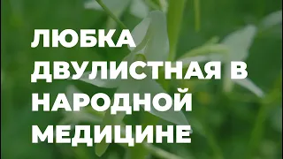 Любка двулистная в народной медицине, полезные советы и рекомендации / Захар Травник