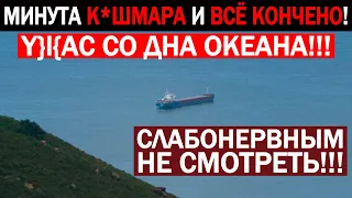 ОТ ЭТИХ КАДРОВ ВОЛОСЫ ДЫБОМ! РЫБАКИ ПОСЕДЕЛИ НА МЕСТЕ ОТ УВИДЕННОГО! 31.05.2021 ДОКУМЕНТАЛЬНЫЙ ФИЛЬМ